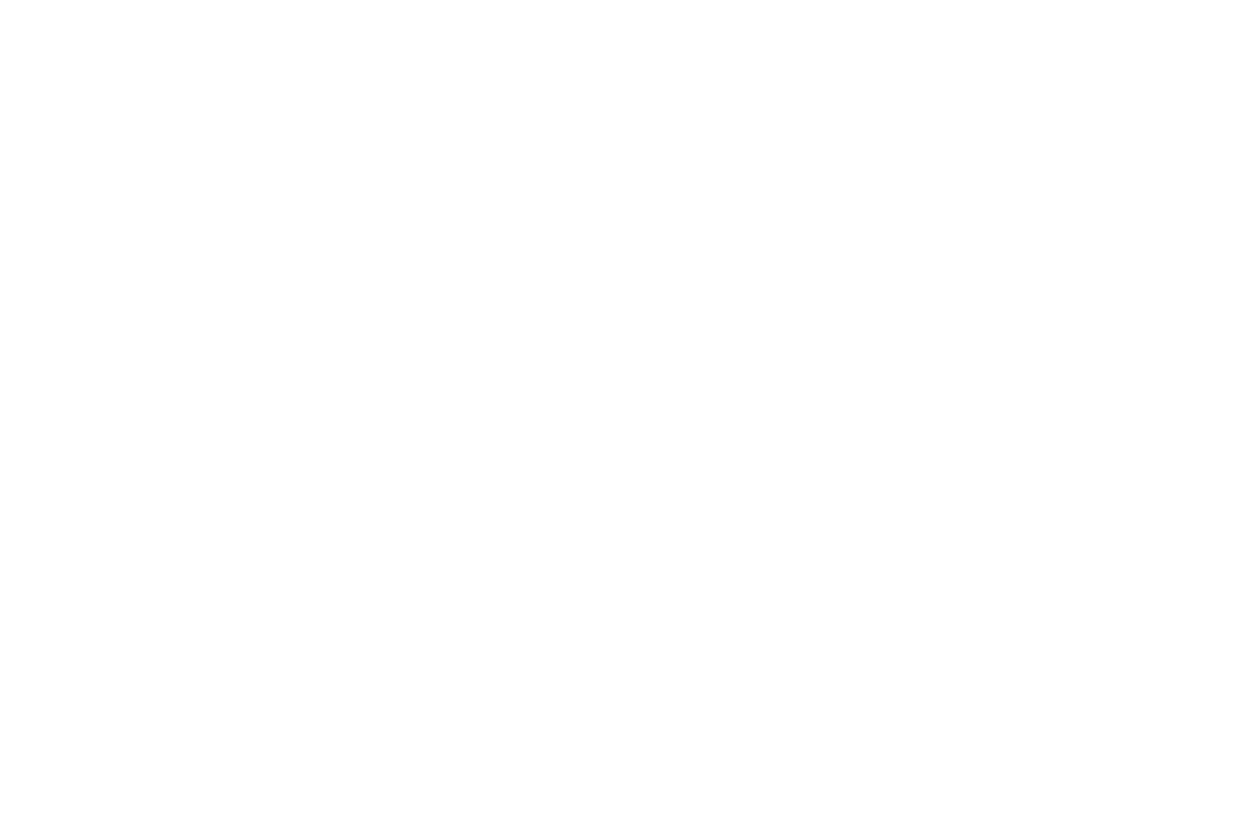 logo marque voiture Skoda