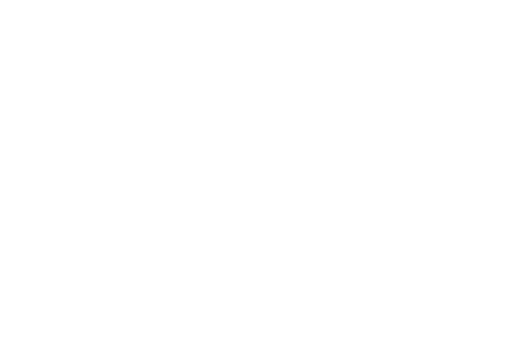 logo marque voiture Seat