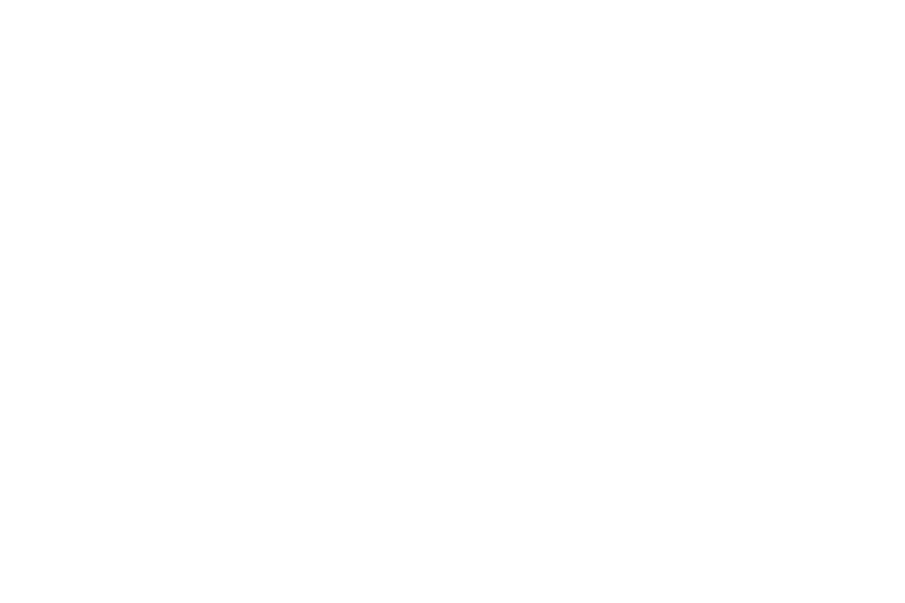 logo marque voiture Suzuki